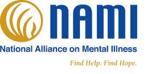 nami logo