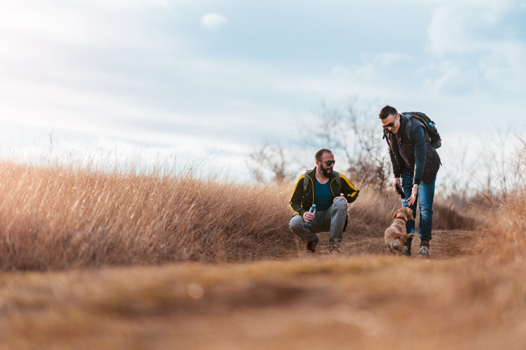 sober mentor co